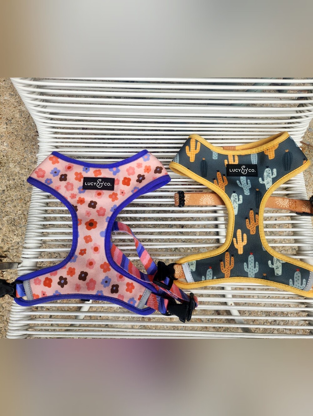 Dog Harness - Picture 2 of 3